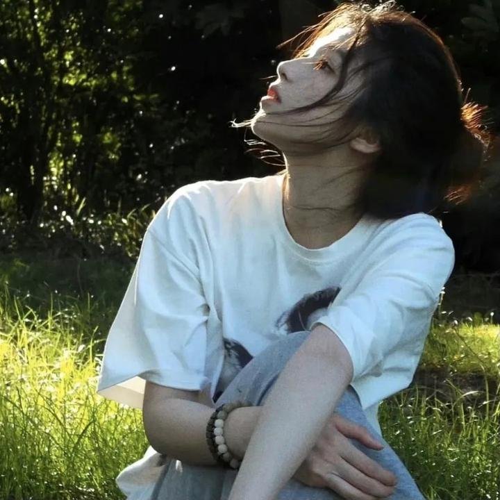 一个叫欧维的男人决定去死